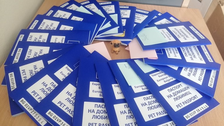 Изображение 466249