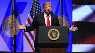 Срещу правото на американско гражданство по рождение се обяви американският