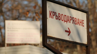 На православна Цветница която тази година се пада на 17