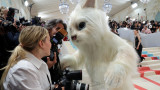 Джаред Лето като любимата котка на Карл Лагерфелд на MET Gala 2023