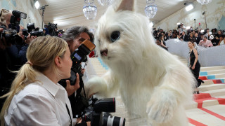 Кой и защо се облече като котка на MET Gala