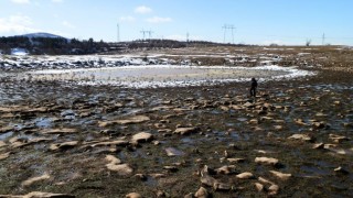 Природна забележителност Цочов вир с площ 9 017 дка и природна