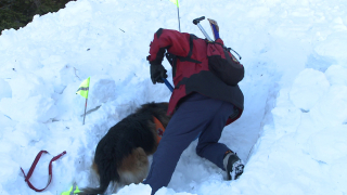 Спасиха сноубордист, затрупан от лавина в Пирин