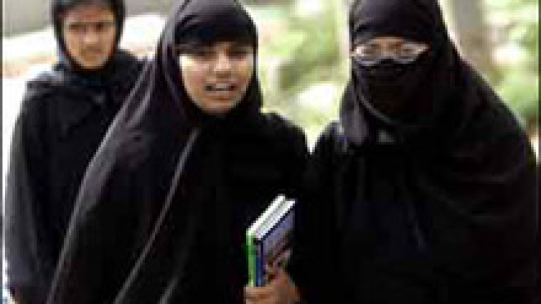 Изображение 7449