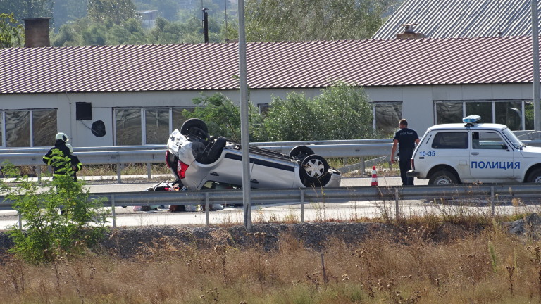 Изображение 377949