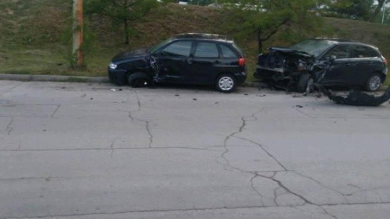 Изображение 358849