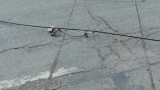  Опасен кабел до тир паркинг и в Килифарево 