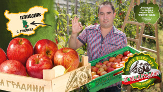 Една ябълка на ден и докторът далеч от мен казват