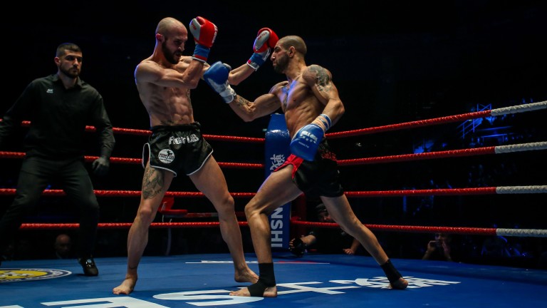 Изображение 419349