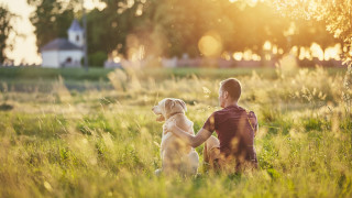 Обичаме истории за кучета а последната на която попаднахме бързо