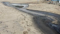 Хотел замърси с мазут част от плаж Кабакум