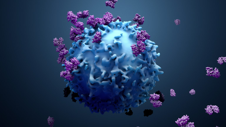 Как раковите и имунните клетки общуват помежду си