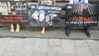 64 организации за защита на животните и природата и други