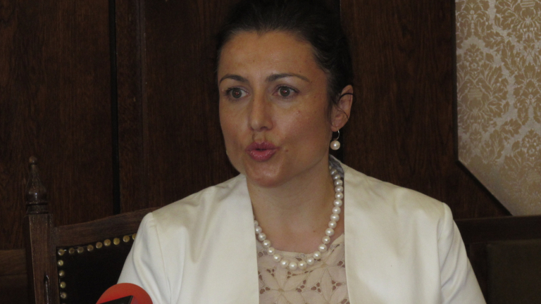 НС да приеме сега Закона за браншовите организации, очаква Десислава Танева