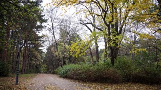 Слънчево и топло начало на седмицата