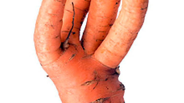 Изображение 92950