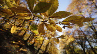 Днес сутринта отново на много места в равнинната част от
