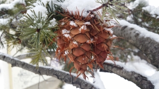 Днес се очаква затопляне след последните няколко по студени дни Това
