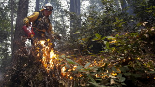 Четири нови пожара в Хасковско