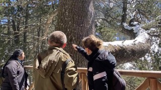 Достъпът до Байкушевата мура вече е възстановен Това съобщават от