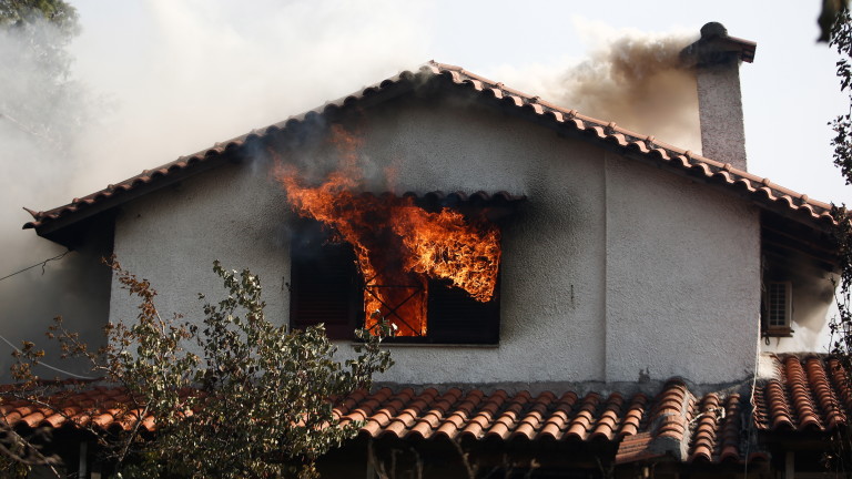 Изображение 544150