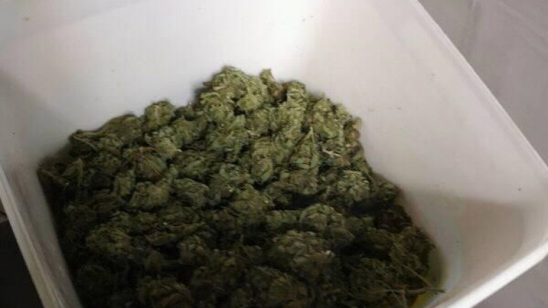 Изображение 395150