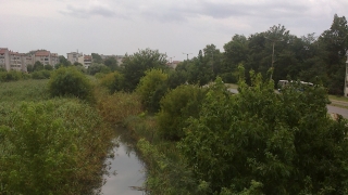Търсят замърсителя на река Чепеларска