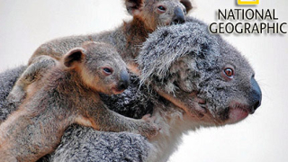 National Geographic организира фотоконкурс за читатели