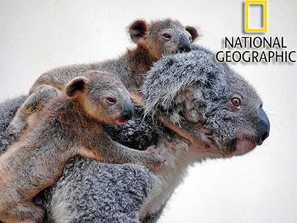 National Geographic организира фотоконкурс за читатели