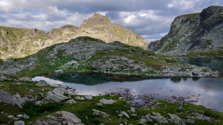 Управлението на мрежата НАТУРА 2000 с цел защита на околната