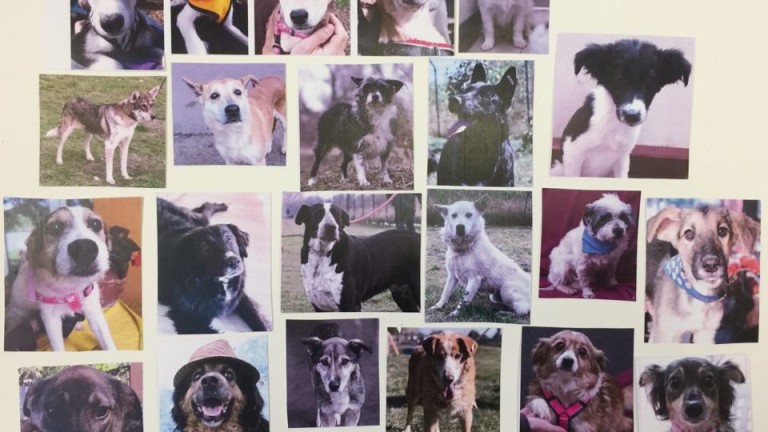 Изображение 466250