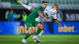 През зимата Пирин може да остане без един от най силно