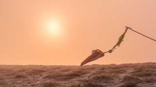 Жълт код за силен вятър в осем области за сряда