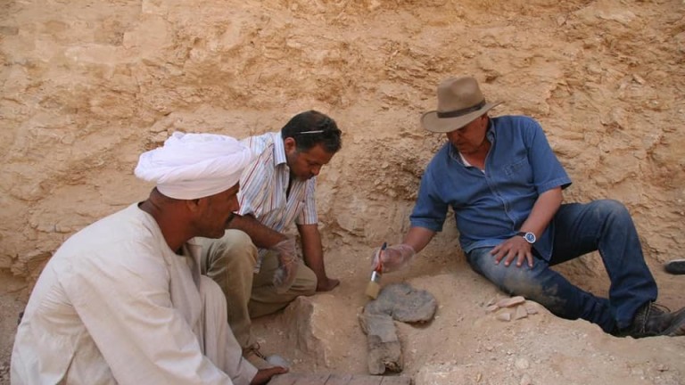 Изображение 448050