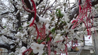 Ветровита неделя ни очаква Това съобщават от НИМХ Облачността ще