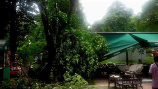 12 области в жълто заради бурен вятър