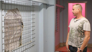 Мъж разби еротичен магазин за да прави секс с надуваеми кукли