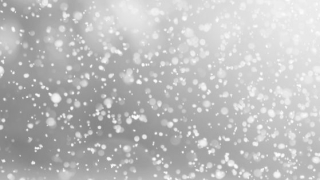 Валежи от сняг усложниха обстановката на прохода Петрохан съобщиха от