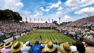 Отличното представяне на най добрия български тенисист Григор Димитров прави така