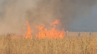 Ракета против градушка е подпалила пожар в житен масив в