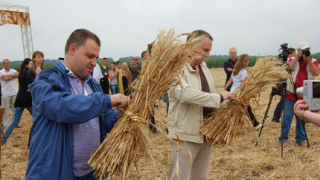 Цената на пшеницата ще пада, убеден Найденов
