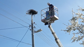 Инспектори и експерти спасиха щъркелово гнездо в село Труд