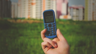 Защо обикновените мобилни телефони продължават да се купуват?