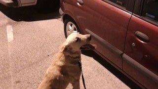 При проверка на служители на ГД Митническо разузнаване и разследване