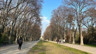 Необичайни дупки зейнаха на поляна в Морската градина във Варна