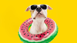 Лято 2023 счупи всички температурни рекорди а тази година очакваме те отново