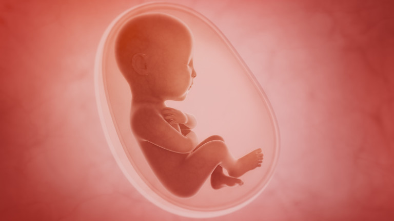 Мръсният въздух уврежда и неродените бебета