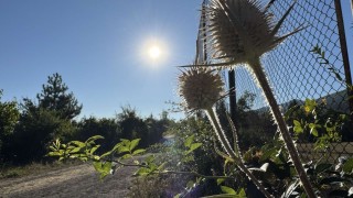 Днес ще пребладава слънчево време с разкъсана висока облачност Това