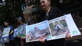 Веганите настояват за криминализиране на лова