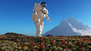 Дори да предположим че Илон Мъск и Джеф Безос вече